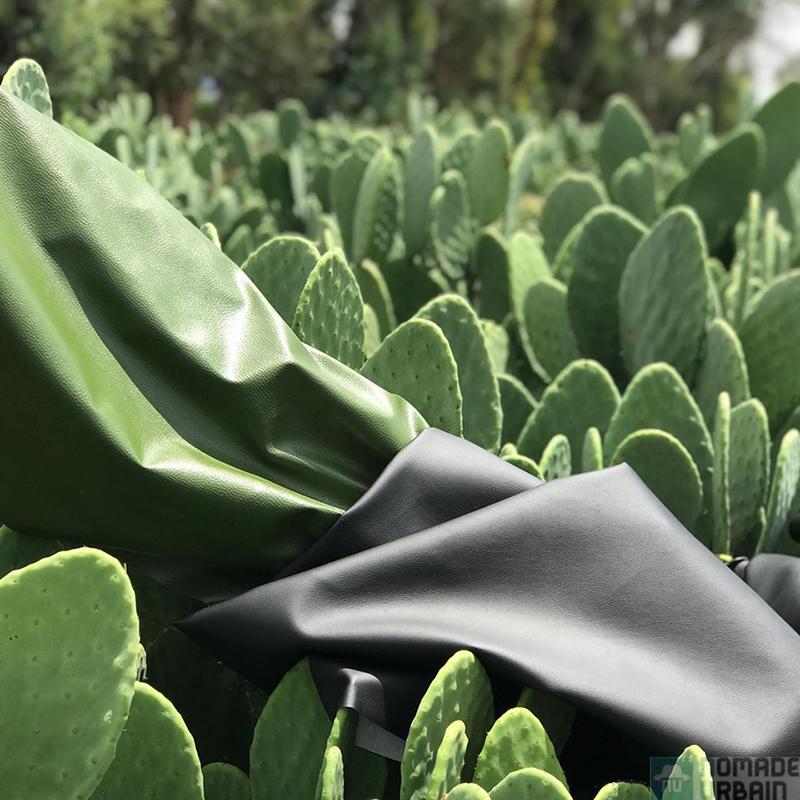Clae Cactus