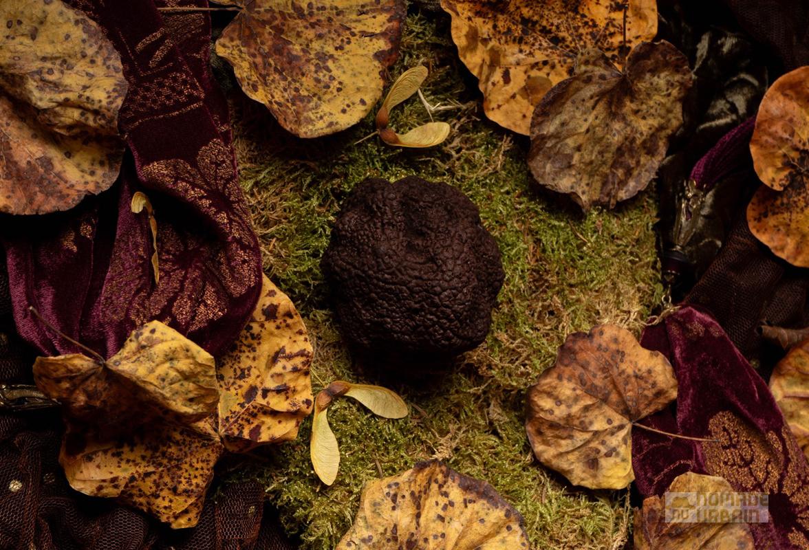 Pâques 2024 Maison de la Truffe